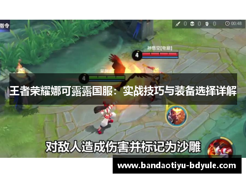 王者荣耀娜可露露国服：实战技巧与装备选择详解