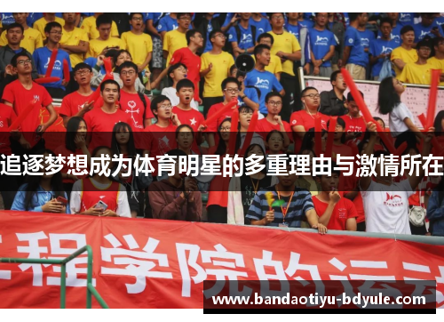 追逐梦想成为体育明星的多重理由与激情所在